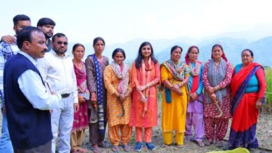 क्रॉप कटिंग प्रयोग में ग्रामीणों के साथ खेत में उतरीं जिलाधिकारी