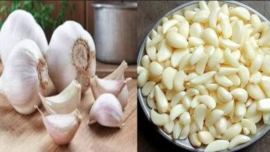सुबह खाली पेट कच्चा लहसुन खाना कितना फायदेमंद? जानें फायदे, नुकसान और सही तरीका