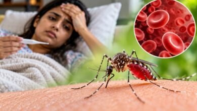 मच्छरों के काटने से सिर्फ डेंगू-मलेरिया ही नहीं, एनीमिया का भी बढ़ सकता है खतरा